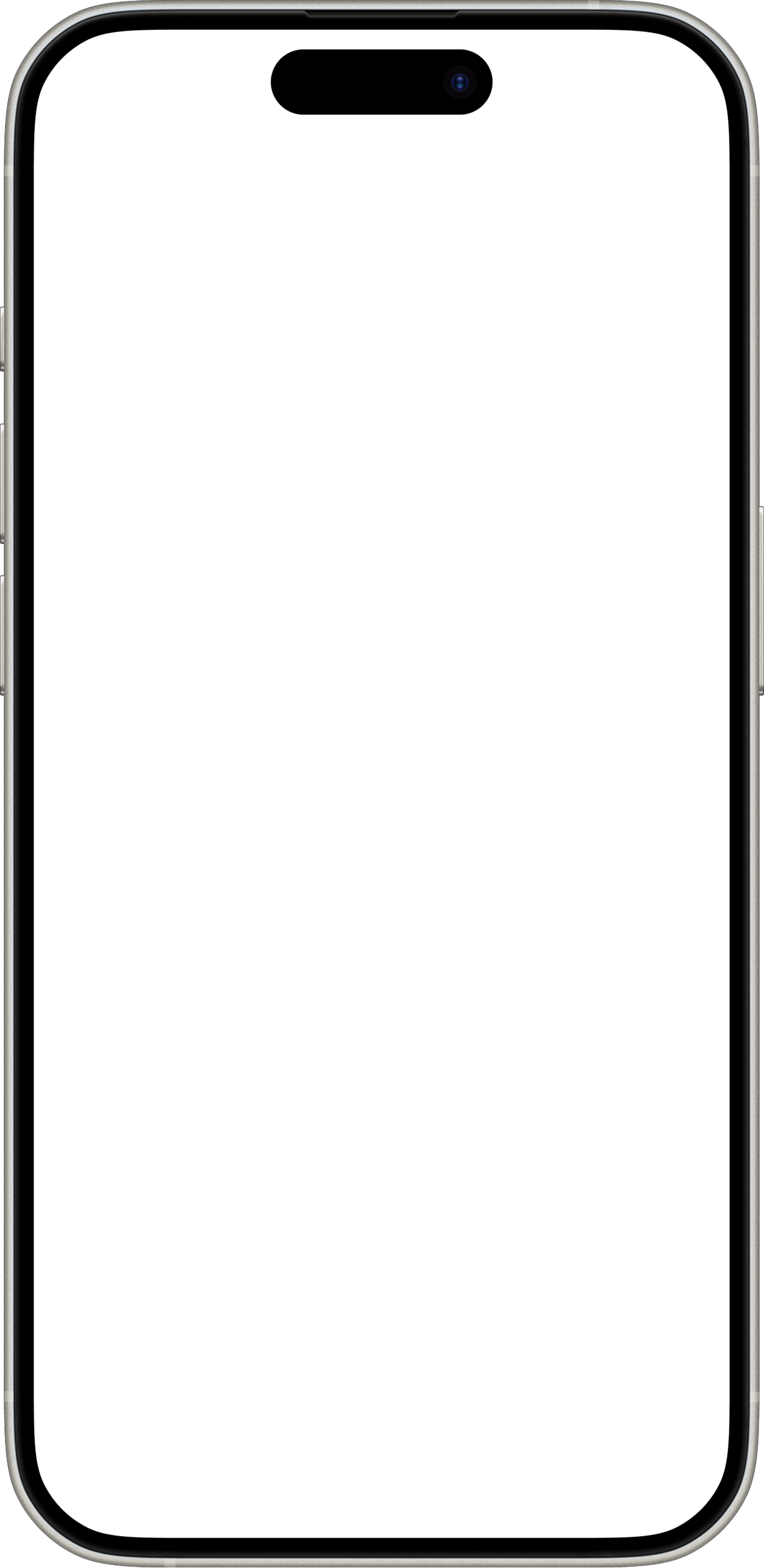 iPhone frame